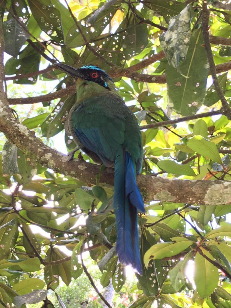 La Serena Reserva Natural Concepcion Экстерьер фото