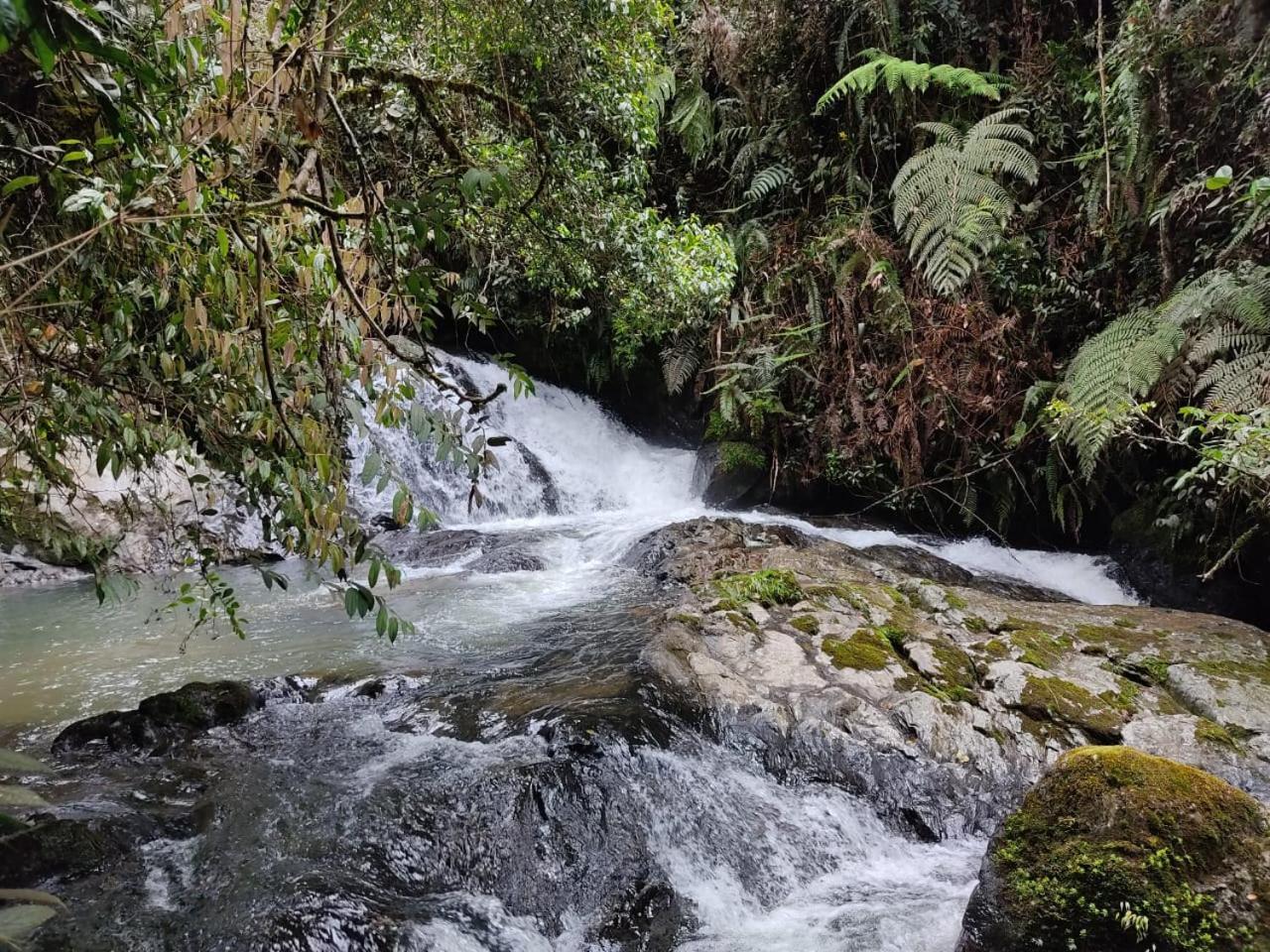 La Serena Reserva Natural Concepcion Экстерьер фото
