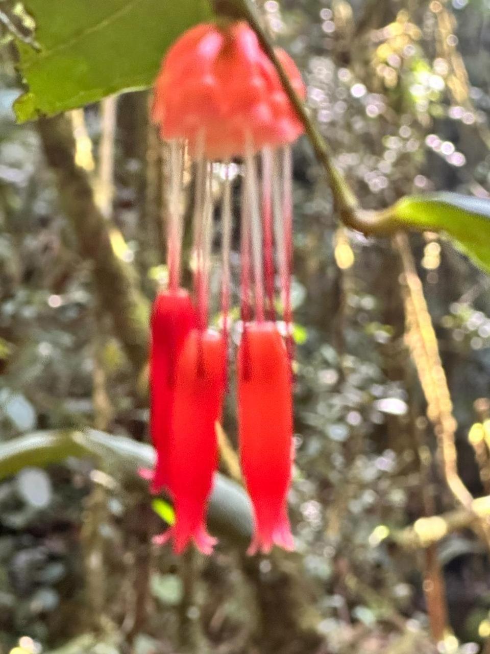 La Serena Reserva Natural Concepcion Экстерьер фото