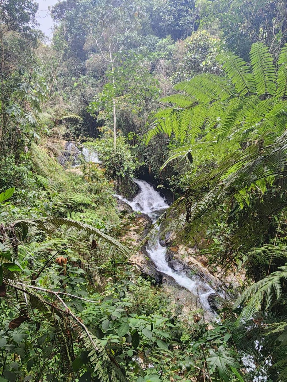 La Serena Reserva Natural Concepcion Экстерьер фото